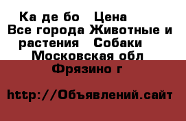 Ка де бо › Цена ­ 25 - Все города Животные и растения » Собаки   . Московская обл.,Фрязино г.